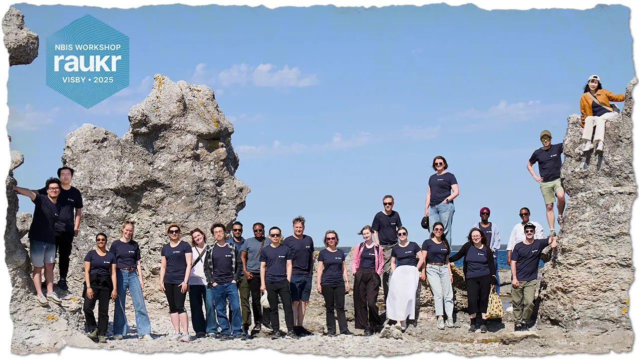 Group photo of teachers and participants with seastacks at Ljugarn