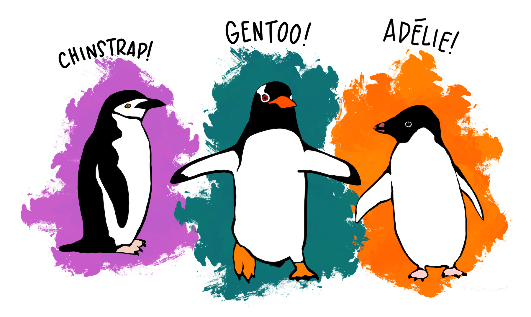 These are Palmer penguins