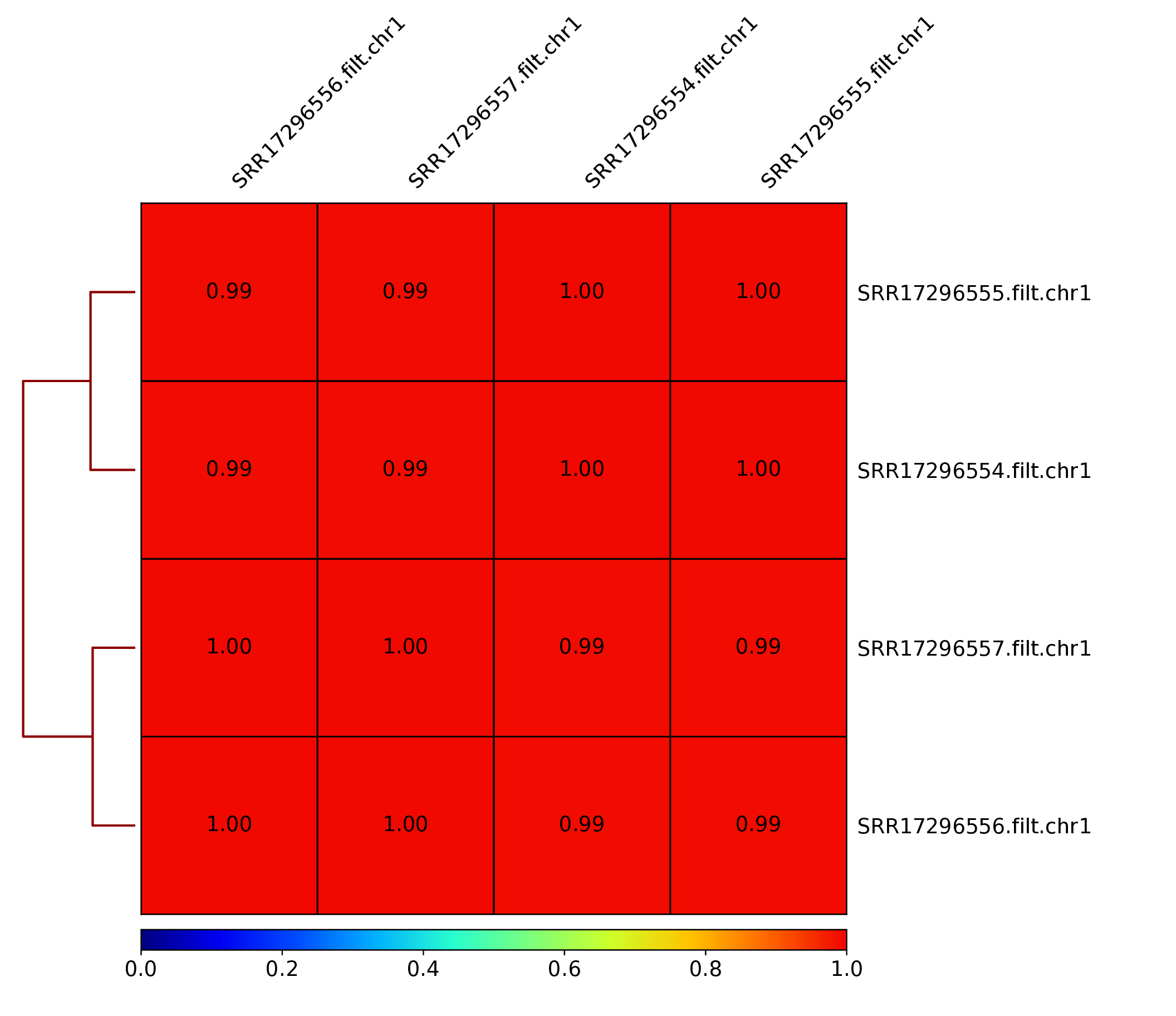 Pearson correlation, data subset to chr1