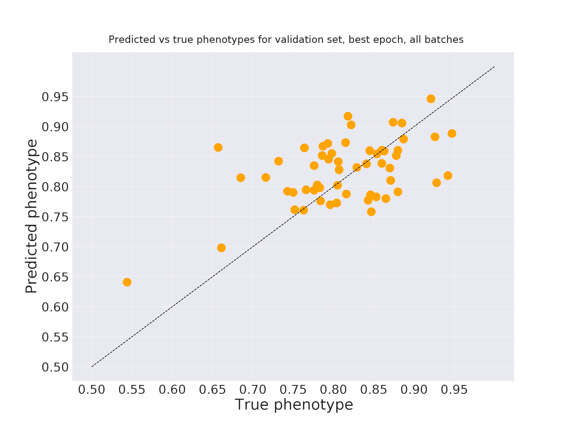 True vs estimate for validation data