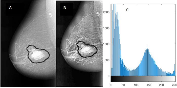 bioimaging