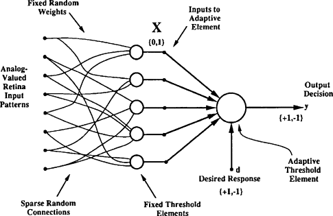 Neuron