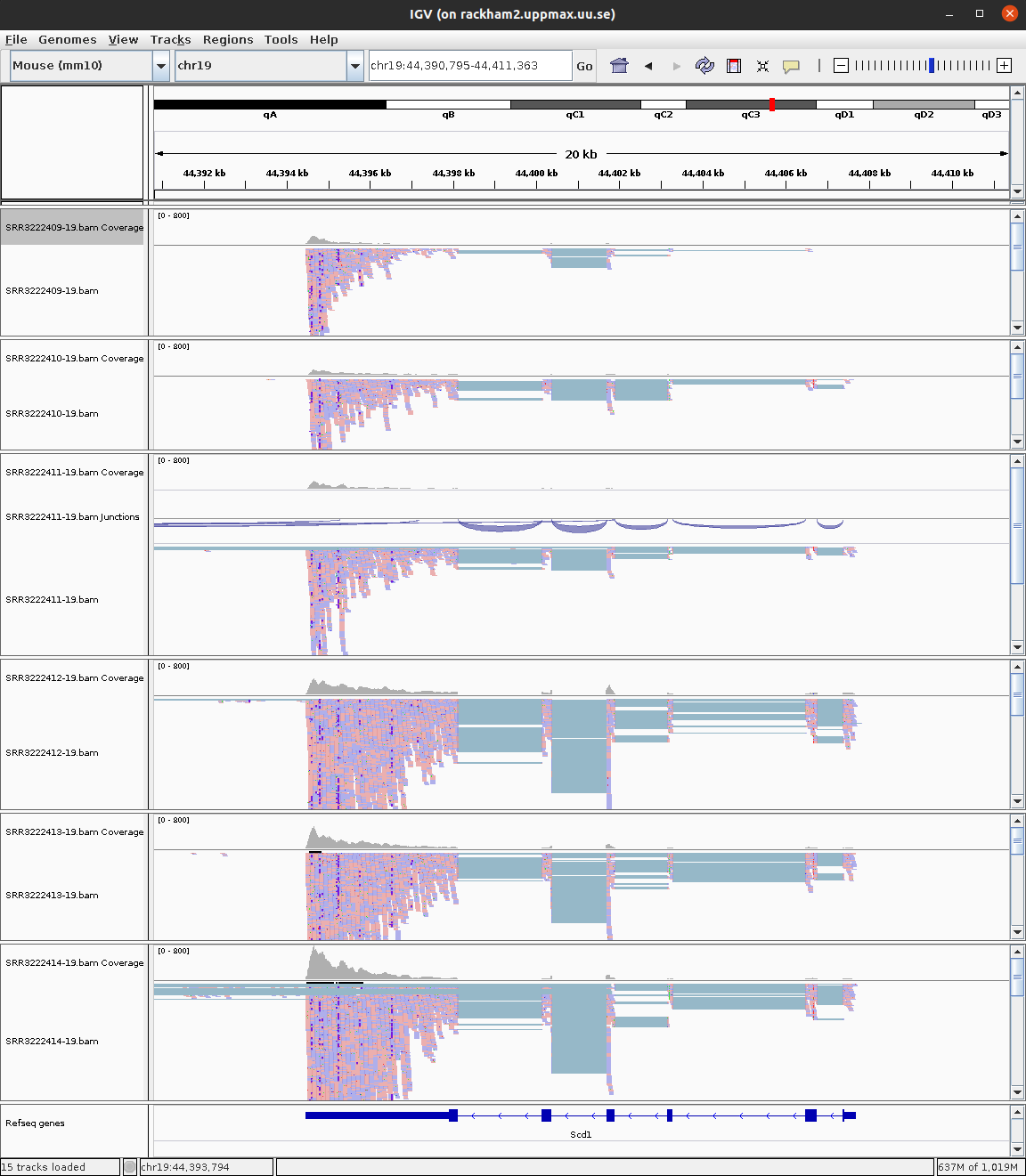 IGV view of gene Scd1 across 6 samples.