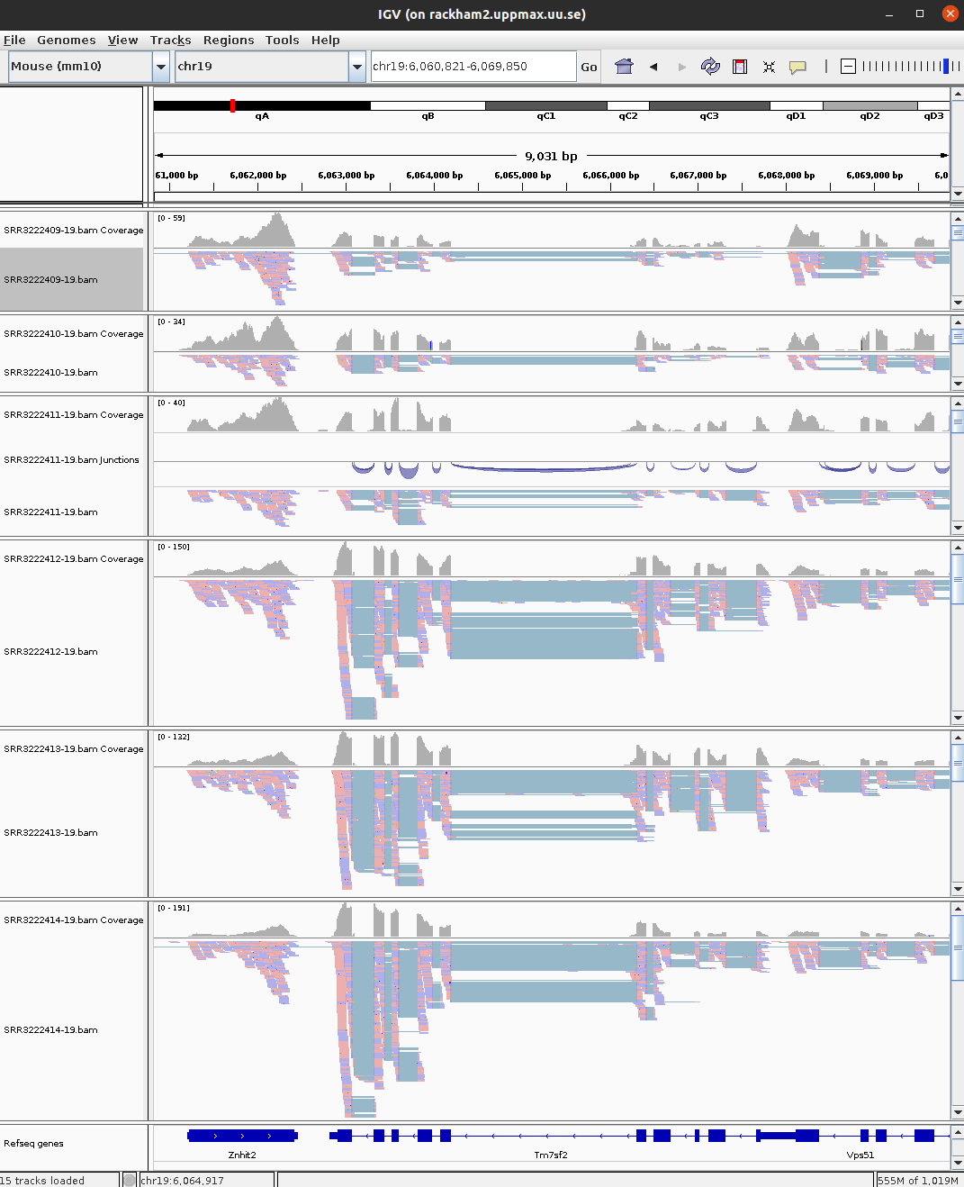 IGV view of gene Tm7sf2 across 6 samples.