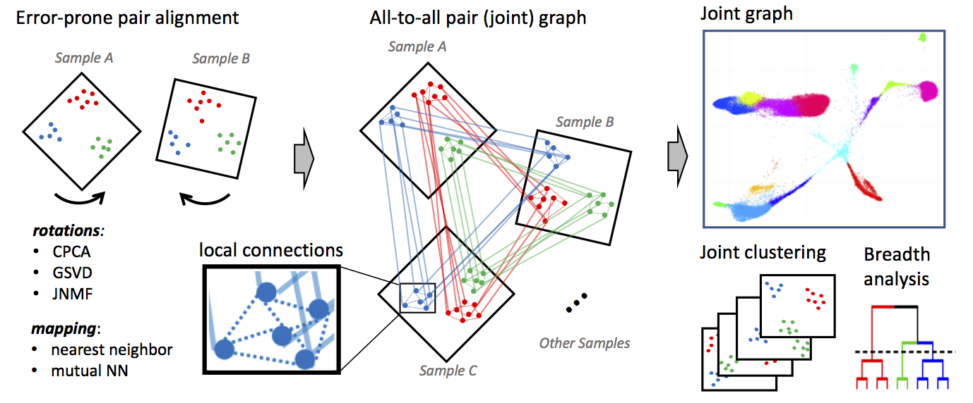 Conos integration algorithm