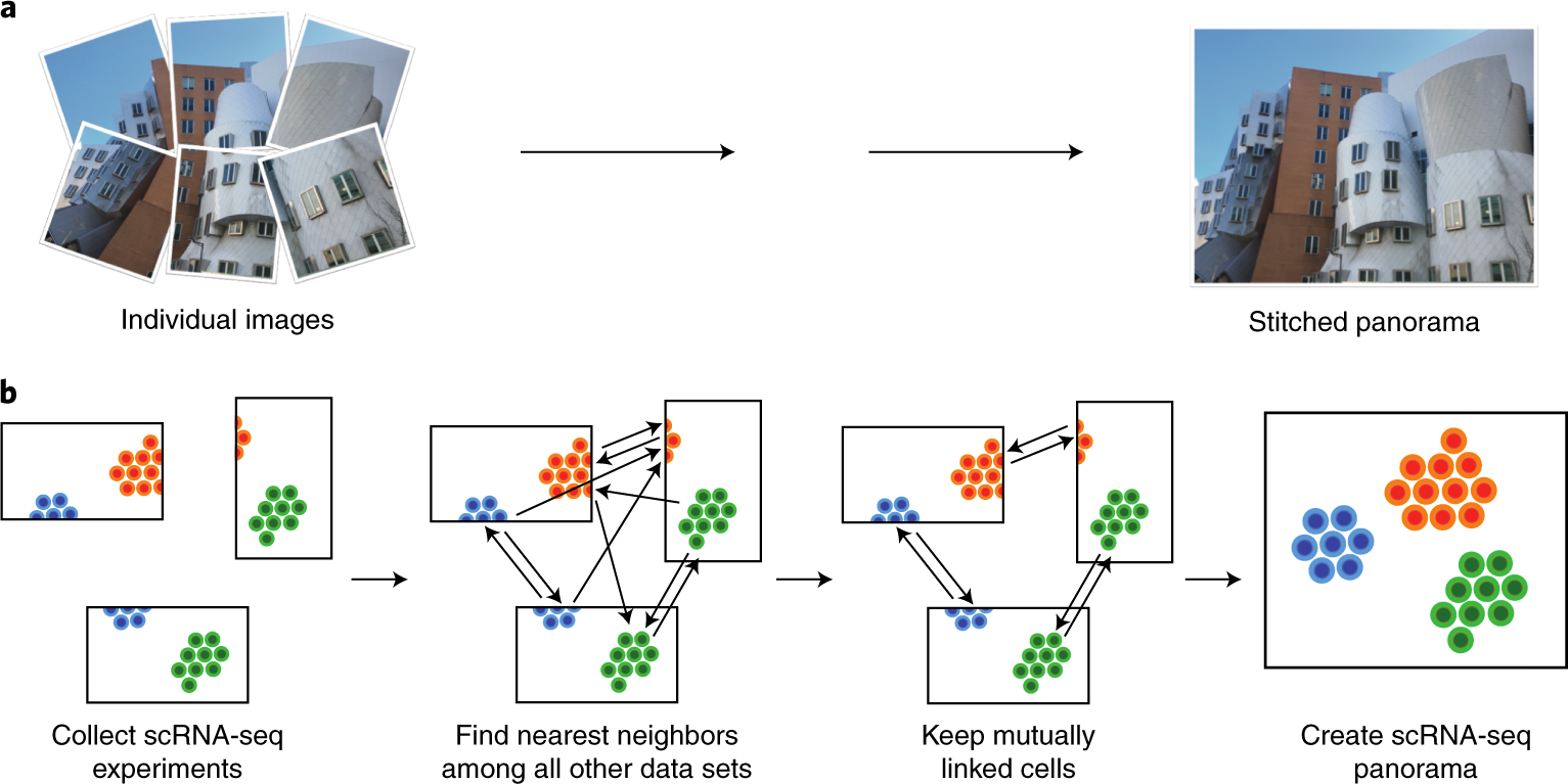 Scanorama integration algorithm